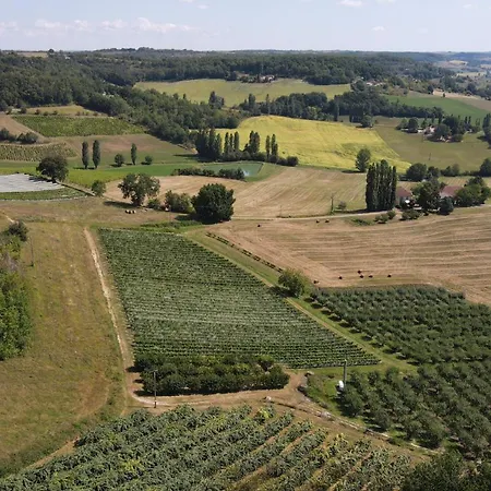 La Maison D'onesiphore * Cazes-Mondenard